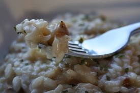 www.latanadelconiglio.com