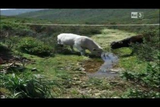 il fotografo triestino fabrizio giraldi | “sguardi contaminati”