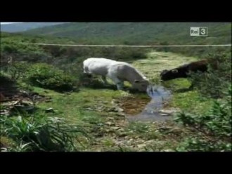 il fotografo triestino fabrizio giraldi | “sguardi contaminati”