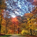 Autunno all'Englischer Graten_1