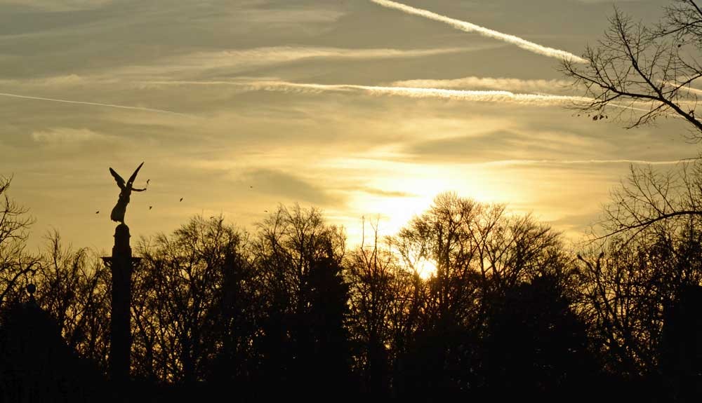 DSC_0014_WEB