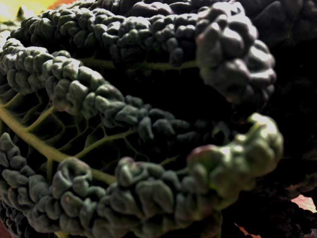 cavolo nero