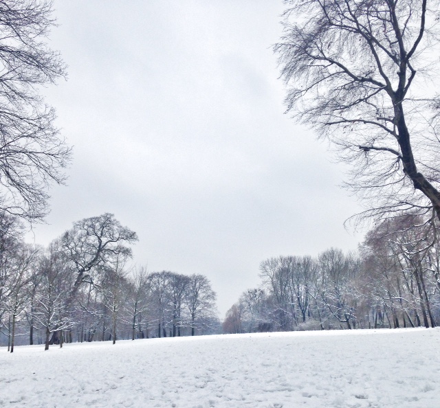 Englischer Garten con la neve