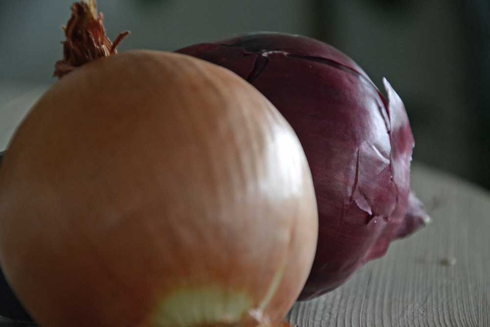 la ricetta della domenica | la zuppa di cipolle