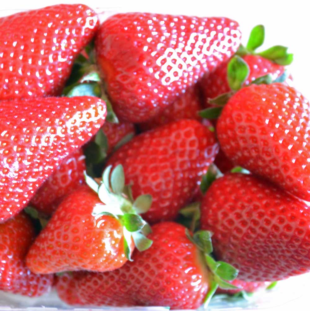 fragole